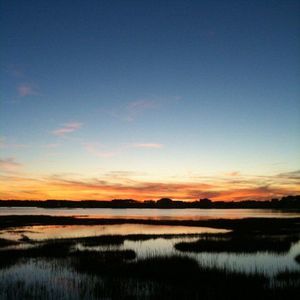 Meet your Posher, Liz